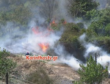 Σε εξέλιξη μεγάλη φωτιά στο Λαλιώτι του δήμου Σικυωνίων (φωτό, βίντεο)